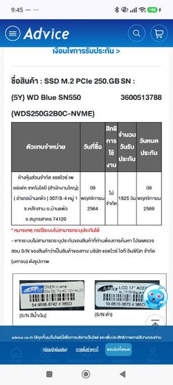 SSD M.2 PCIe 250.GB WD Blue SN550 รูปที่ 5