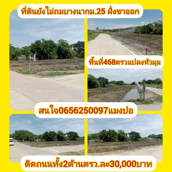 ที่ดินยังไม่ถม