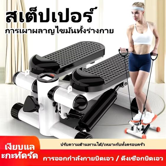 Mini stepper รูปที่ 4