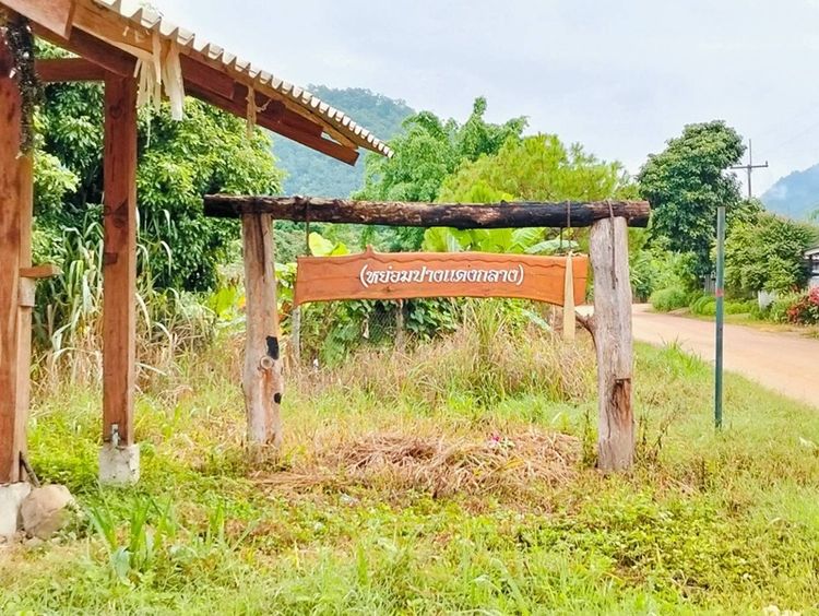 ที่ดินเชียงดาว รูปที่ 2