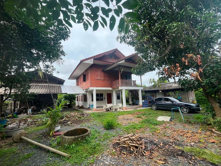 มีบางส่วน เจ้าของขายเอง บ้านพร้อมที่ดิน 140 ตร.ว. หลังตลาดแม่คือ ดอยสะเก็ด ราคาเพียง 1.999 ล้านบาท