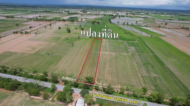 ใช่ ขายที่ดิน ST0055 | 3 ไร่ 2 งาน 47 ตร.วา | ติดถนน 102 สุโขทัย-อุตรดิตถ์ | โฉนดครุฑแดง 🔥📝 รายละเอียด🏡 รหัสแปลง: ST0055📍 ที่ตั้ง: ตำบลหนองกลับ สวรรคโลก รูปที่ 4