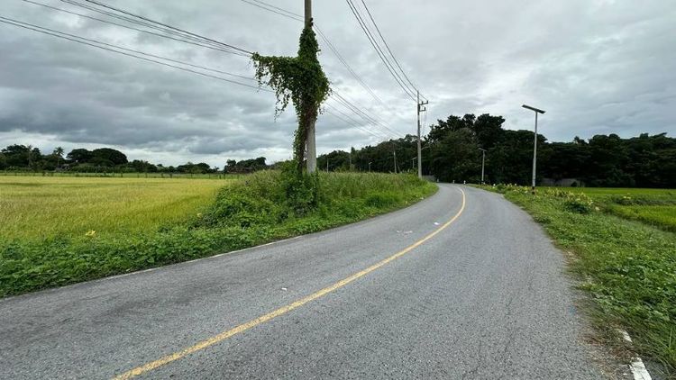 ขายที่ดิน อำเภอ นครชัยศรี รูปที่ 3