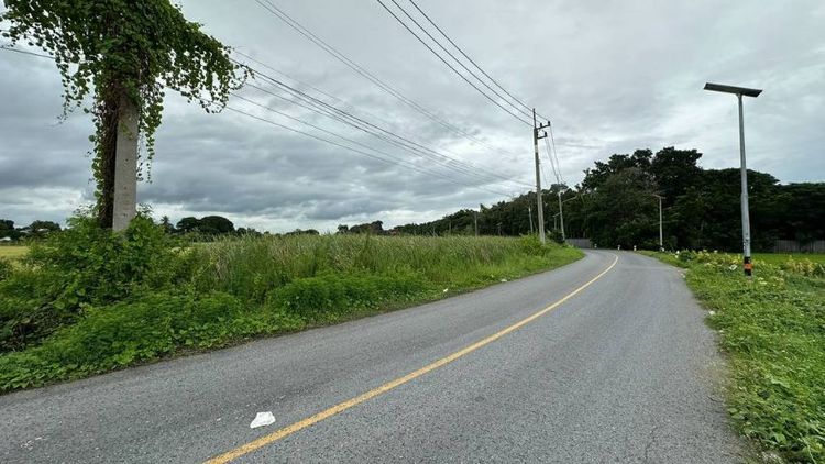 ขายที่ดิน อำเภอ นครชัยศรี
