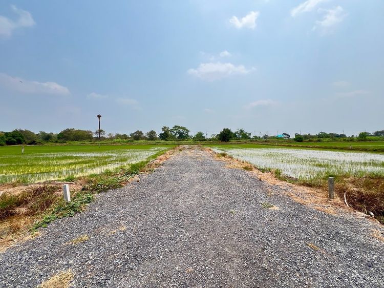 ที่ดินคลองเก้า ผ่อนได้ ไม่มีดอกเบี้ย เหมาะทำบ้านสวน ใกล้ชุมชน รูปที่ 2