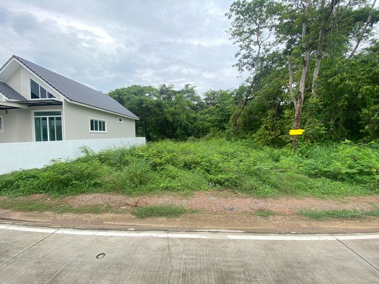 ขายที่ดินเปล่าซอยหลังวัดเขาไผ่ ติดถนน 2 ด้าน ต.เนินพระ อ.เมืองระยอง 