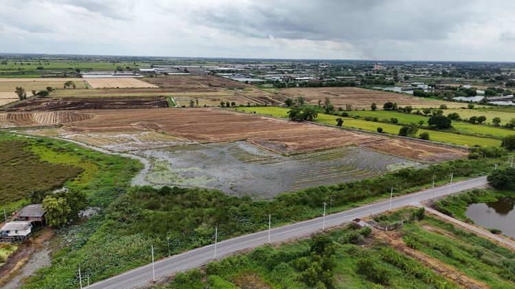 ขายที่ดิน 195 ไร่ บางซ้าย รูปที่ 4