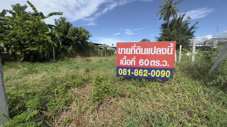 ที่ดินเปล่า ใจกลางเมืองชลบุรี หลังโรงพยาบาลชลบุรี รูปที่ 3