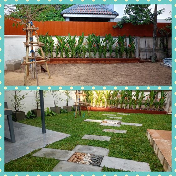 NUTWUN บริการจัดสวน.ตัดแต่งสวน0995468287,0955467798 บริการตัดหญ้าตัดแต่งสวนรับปูหญ้าปูหญ้าเทียมปูหินจัดสวนหิน ดูแลสวนหย่อม ในบ้าน บริษัท โรง รูปที่ 4