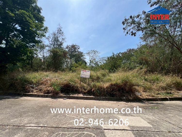 ที่ดินเปล่า 80 ตร.ว. ที่ดิน หมู่บ้านสีวลี รังสิต1 ซอยรังสิต-นครนายก50 ถนนรังสิต-นครนายก ธัญบุรี ปทุมธานี รูปที่ 2