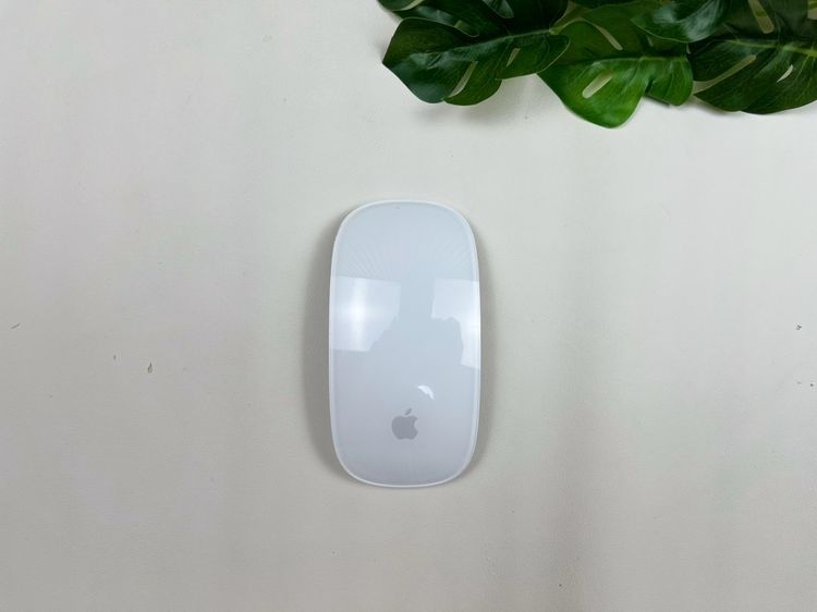 Apple Magic Mouse2 (Lightning) 