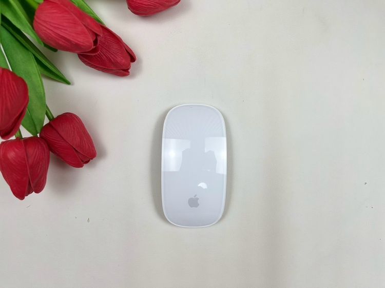 Apple Magic Mouse2 (Lightning)