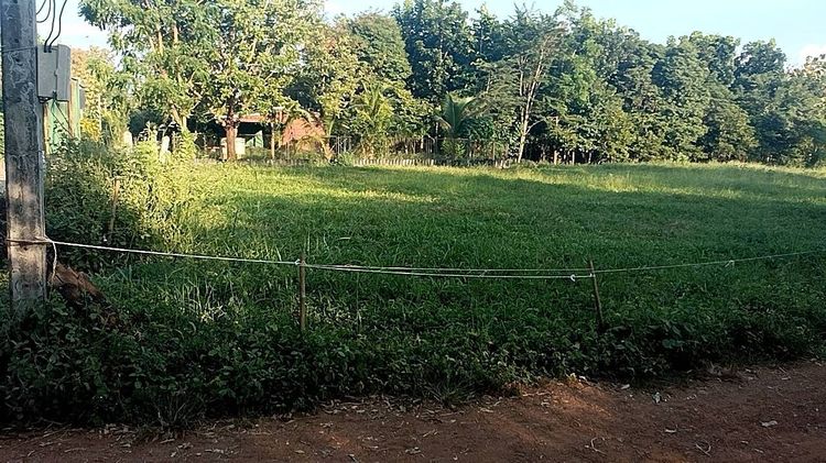 ขายที่ดินทำเลดี ตำบลหนองสว่าง อำเภอหล่มสัก จังหวัดเพชรบูรณ์