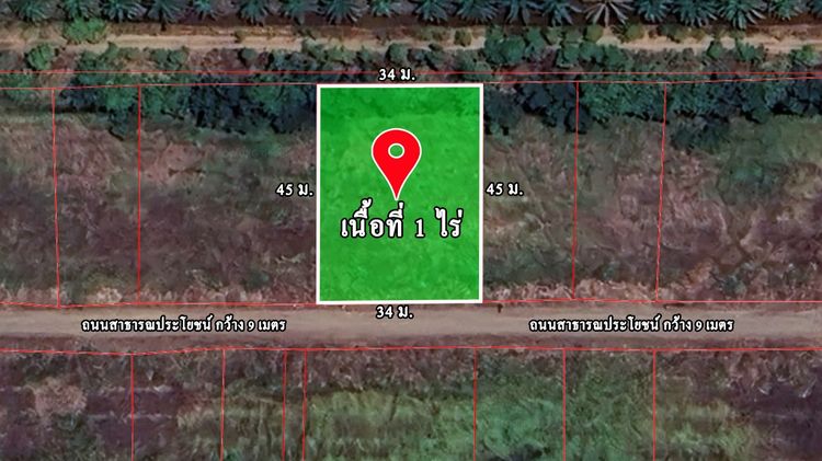 ขายที่ดินคลอง12 ฝั่งตะวันตก เนื้อที่ 1 ไร่ ซอยสวนเกษตร2 หมู่3 ต.นพรัตน์ อ.หนองเสือ ปทุมธานี