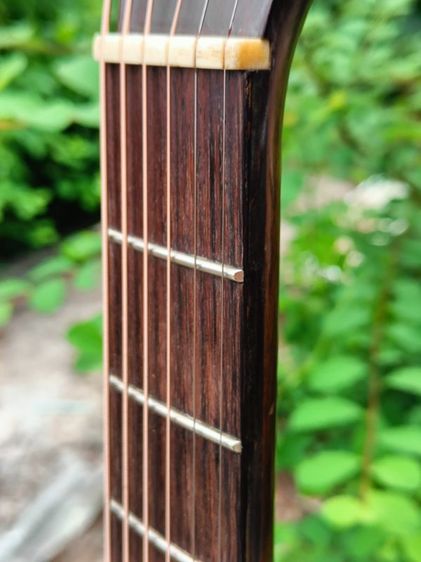 TAKAMINE EN 10 Cตำนาน รูปที่ 6
