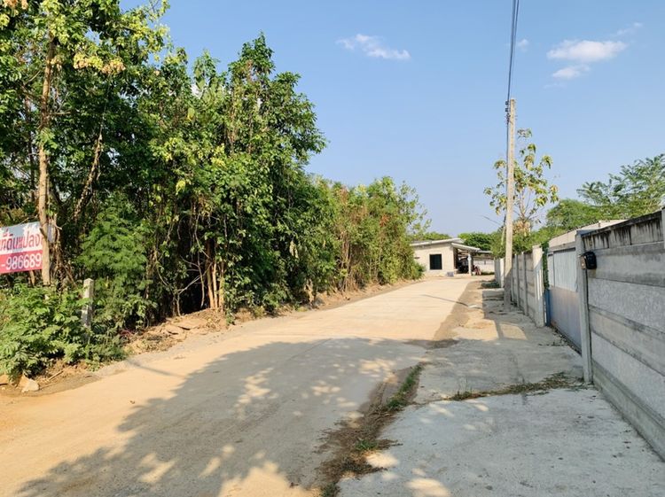 ที่ดินถมแล้วพร้อมปลูกบ้าน ใกล้อบจ.กาญจน์ สะพานข้ามแม่น้ำแคว ต.ท่ามะขาม อ.เมือง จ.กาญจนบุรี รูปที่ 3