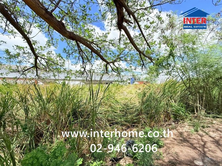 ที่ดินเปล่า 99 ตร.ว. ที่ดิน ติดกับคลังสินค้าWHA ลาดกระบัง ถนนเจ้าคุณทหาร ถนนไอซีดี1 เขตลาดกระบัง กรุงเทพมหานคร รูปที่ 4