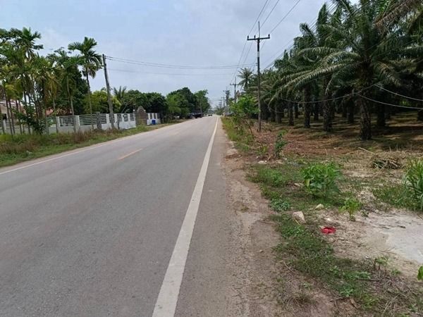 ขายที่ดิน 5ไร่เศษ ระยอง แกลง ติดชุมชน ติดถนนสองด้าน