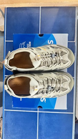 Skechers รองเท้าผ้าใบ อื่นๆ UK 7.5 | EU 41 1/3 | US 8 เขียว รองเท้าเดินป่า