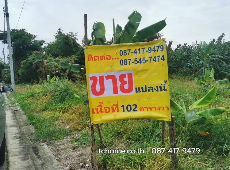 ขายด่วนที่ดิน 102 ตรว. ราคาไม่แพง โครงการชัยพฤกษ์บางนา กม.18 เยื้อง ม.หัวเฉียวเฉลิมพระเกียรติฯ รูปที่ 3