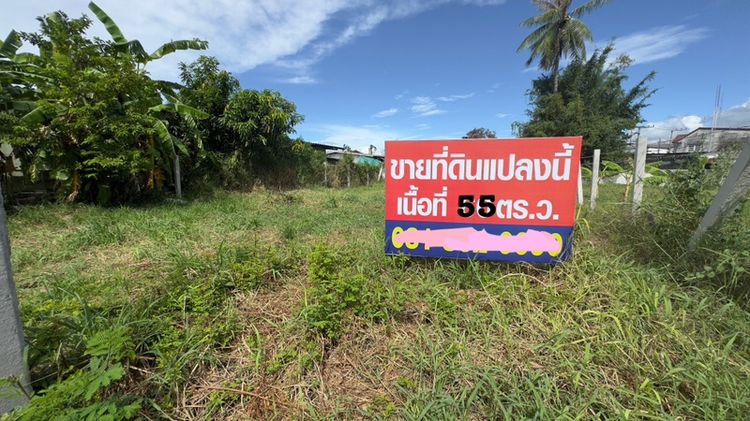 ที่ดินเปล่า หลังโรงพยาบาลชลบุรี ซอยเพรชบ้านสวน
