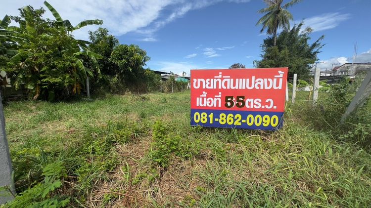 ที่ดินเปล่า หลังโรงพยาบาลชลบุรี ซอยเพรชบ้านสวน รูปที่ 2