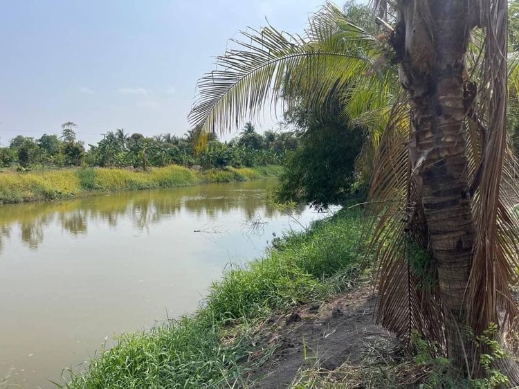ที่ดินองครักษ์ ถมแล้ว หน้าแปลงติดถนน ท้ายแปลงติดคลองน้ำธรรมชาติ รูปที่ 3