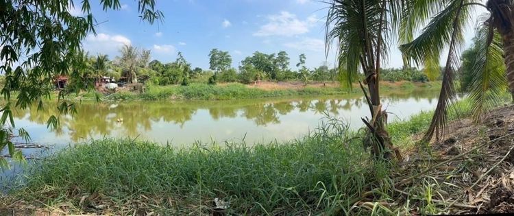 ที่ดินองครักษ์ ถมแล้ว หน้าแปลงติดถนน ท้ายแปลงติดคลองน้ำธรรมชาติ รูปที่ 4