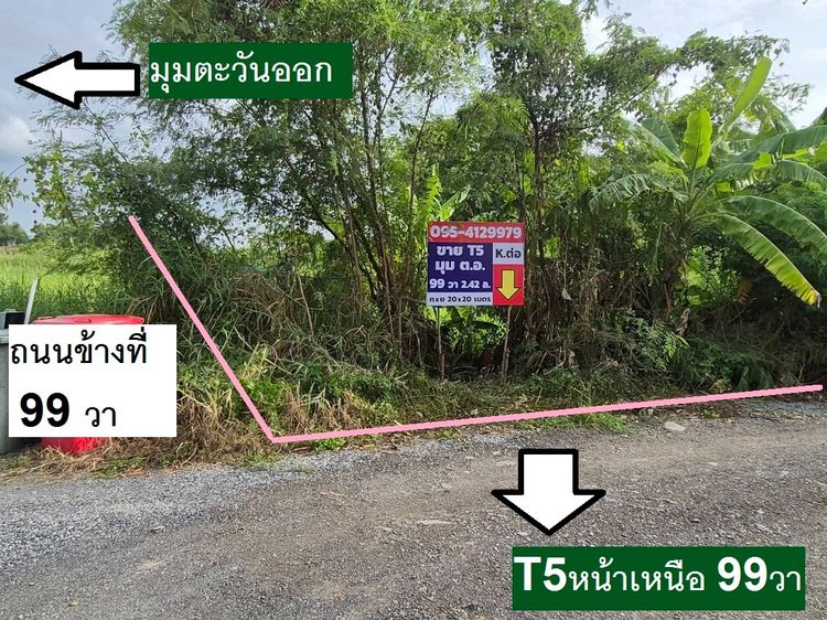 ขายที่ดินแปลงจัดสรรอีกแปลง 99 ตารางวาอีกแปลงข้าง แปลงมุม89 วาที่น้องดูแลอยู่อีกฝั่งถนน แปลงสวยประจำโซนจัดสรรนี้ พหลโยธิน 54ทับ1 แยก 8 รูปที่ 4