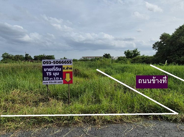 ขายที่ดินจัดสรรโครงการจัดสรรใหญ่ใกล้ถนนพหลโยธิน 89 ตารางวา แปลงมุม ราคาดีด้วย 2 ล้านต้นๆ แปลงสวยประจำโซนจัดสรรนี้ สายไหมซอย 6ซอยตาลเดี่ยว  รูปที่ 3