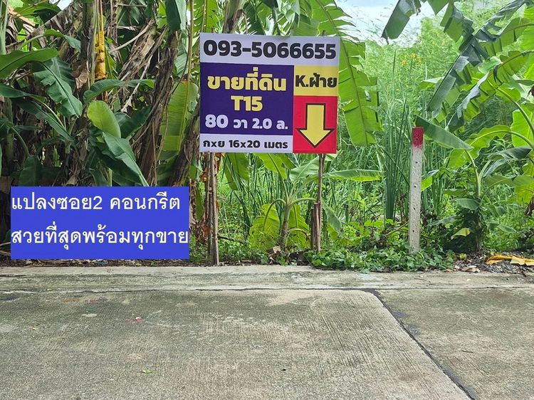 ขายที่ดินแปลงจัดสรร 80 ตารางวา ซอย 2 คอนกรีตของทำเลนี้ซอยตาลเดี่ยว สายไหม6  หน้ากว้าง 16 เมตร ลึก 20 เมตร น้ำ ไฟ ถนนคอนกรีตอย่างดีทำเลทอง 