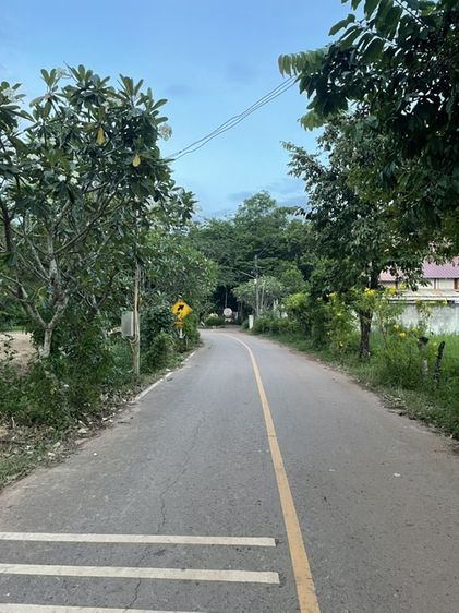 ขายที่ดิน