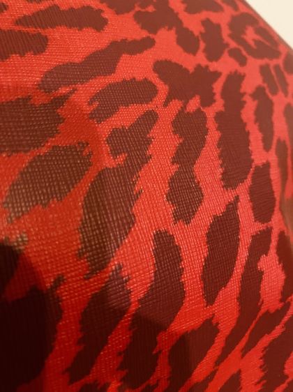 กระเป๋าEstée Lauder Leopard Tote Bag แท้ 💯 รูปที่ 5