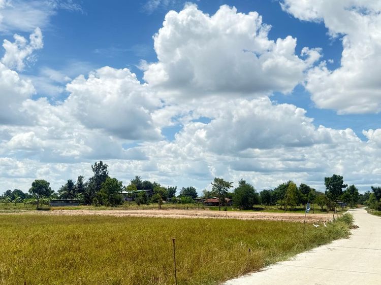 ที่ดินหนึ่งไร่อยู่ใกล้กับปั๊มน้ำมันสระกะจมอำเภอดอนเจดีย์สุพรรณบุรี