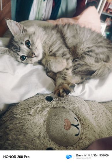 น้องรอเรนท์ญ.