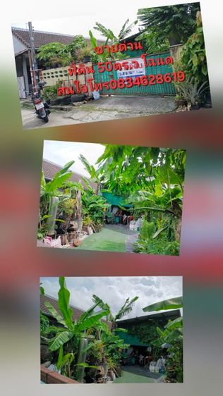 ขายที่ดินภูเก็ต