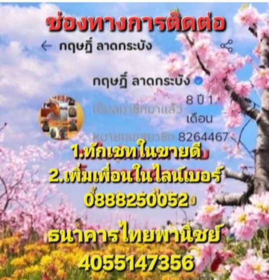 หลวงปู่ทวดเนื้อว่าน พิมพ์จัมโบ้ รูปที่ 6