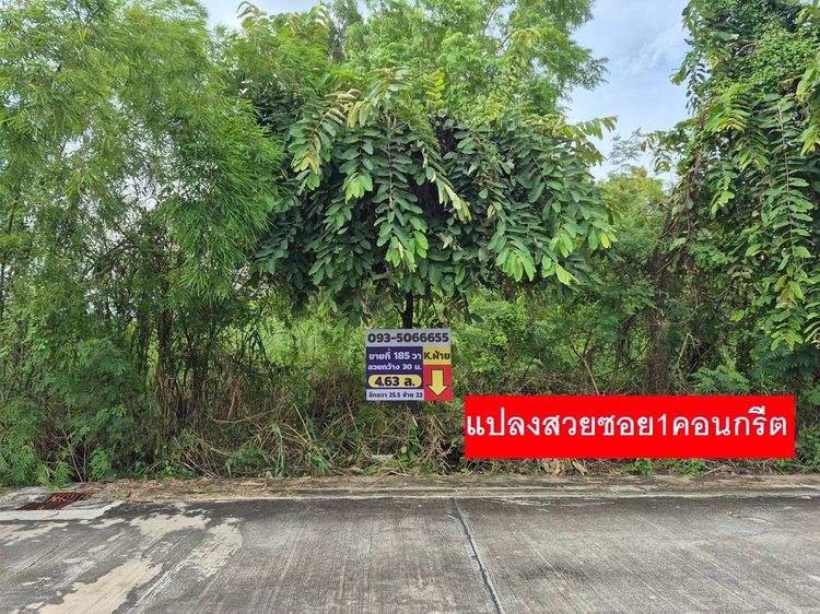 ขายที่ดินแปลงจัดสรรใกล้พหลโยธิน สายไหม ซอยตาลเดี่ยวซอย 1 ตรงขาย 185 ตารางวา หน้ากว้าง 30 เมตร ลึก 25,28 เมตร น้ำ ไฟ ถนนคอนกรีตอย่างดีริมคลอง รูปที่ 2
