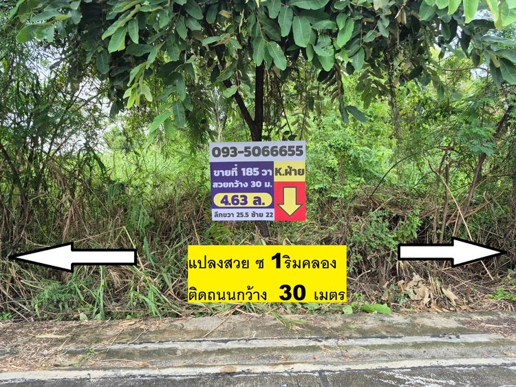 ขายที่ดินแปลงจัดสรรใกล้พหลโยธิน สายไหม ซอยตาลเดี่ยวซอย 1 ตรงขาย 185 ตารางวา หน้ากว้าง 30 เมตร ลึก 25,28 เมตร น้ำ ไฟ ถนนคอนกรีตอย่างดีริมคลอง