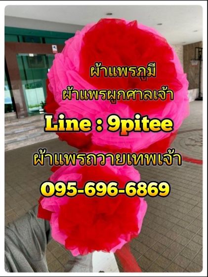 ผูกผ้าศาลเจ้าผูกผ้าถวายเทพเจ้า