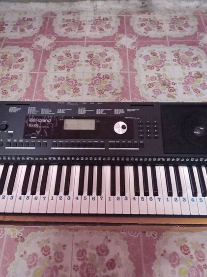 Roland คีย์บอร์ดมาตรฐาน ขายคีบอร์ดโลแลนEX20