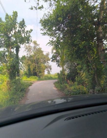 ใช่ ขายที่ดิน 4ไร่ 1งาน 89ตร.ว รูปที่ 4