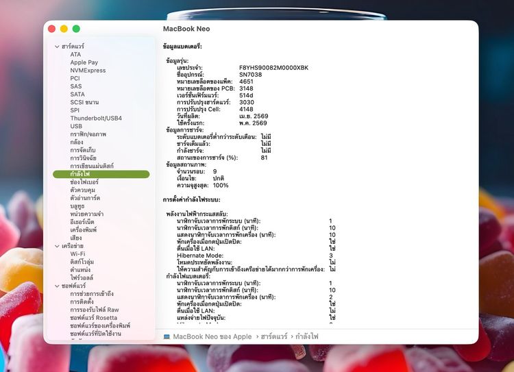 MacBook Neo 13-inch A18 Pro Ram8GB SSD512GB Citrus รูปที่ 13