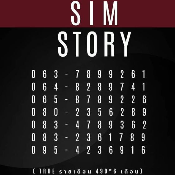 เบอร์มงคล เบอร์หงส์ 289 เบอร์มังกร789 เบอร์รายเดือน ราคาน่ารัก