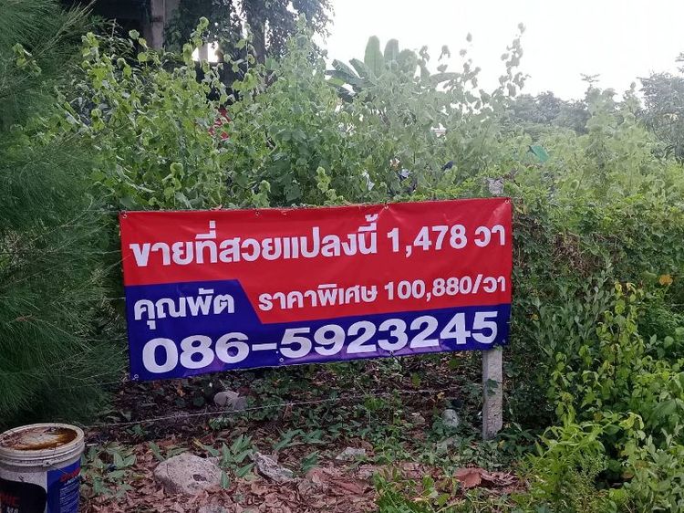 ใช่ ขายที่สวยธุรกิจ ที่ดินนวมินทร์ 70 แยก 3 หลังตลาดปัฐวิกรณ์โซนที่เป็น jc mallมาเช่าสวยเชียวด้านหน้า 3 ไร่ 2 งาน 78 ตารางวาแป้งสี่เหลี่ยมสวยลงทุนทำคอนโดขายหมดแน่ๆราคามาคุยกัน รูปที่ 2