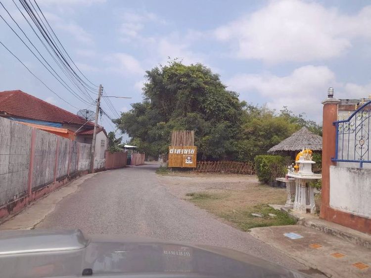 ขายที่ดินซอย13บ่อนไก่70ตรว.ๆ12,000.- รูปที่ 3