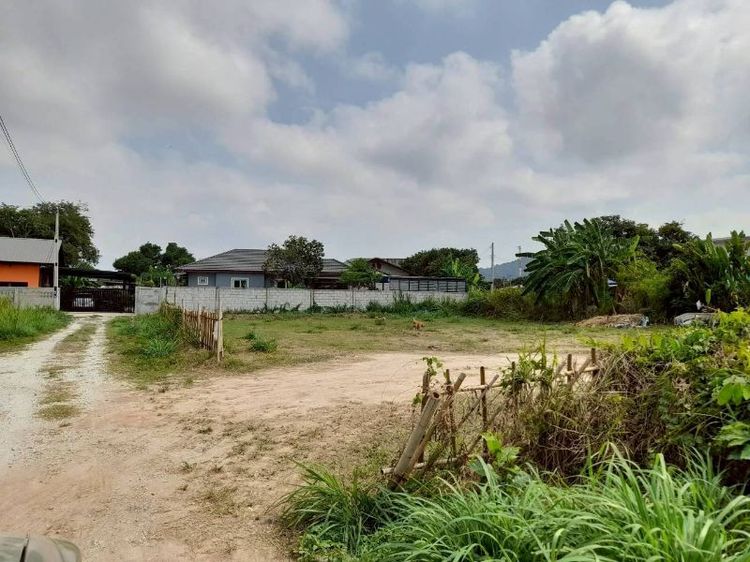 ขายที่ดินซอย13บ่อนไก่70ตรว.ๆ12,000.- รูปที่ 2