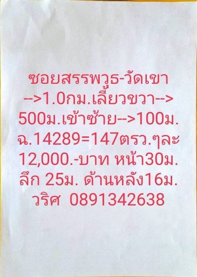 ขายที่ดินแถวศูนย์เด็กเล็กเตาถ่าน 147ตรว.ๆ12,000.- รูปที่ 2