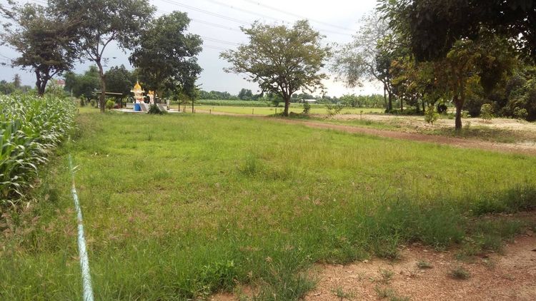 ที่ดินราคาถูกเมืองนครปฐม รูปที่ 4