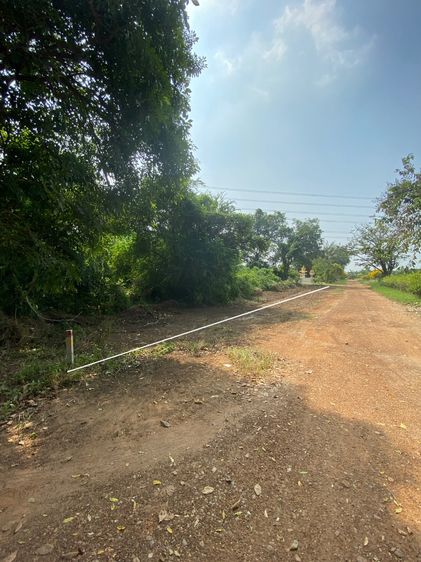 ที่ดินราคาถูกเมืองนครปฐม